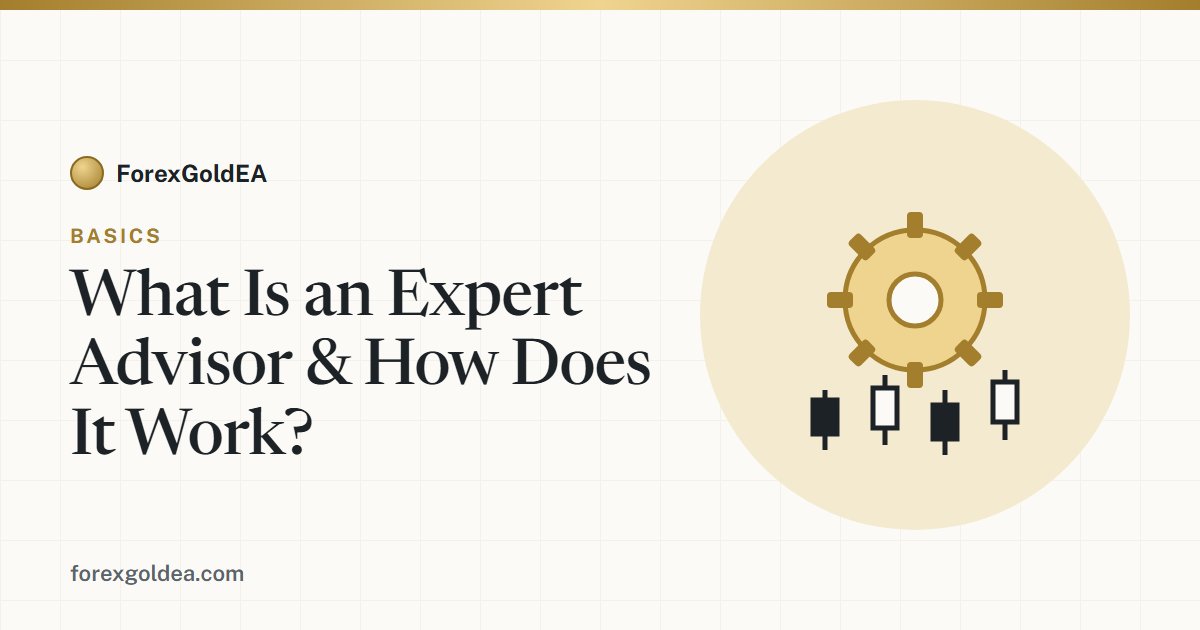 Gear over candlestick chart — what an expert advisor is and how it works